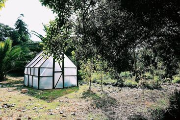 El Arbol Eco Lodge Hostel