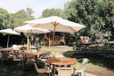 El Arbol Eco Lodge   Hostel