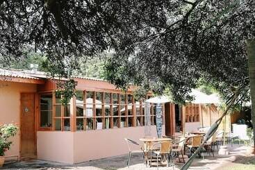 El Arbol Eco Lodge   Hostel