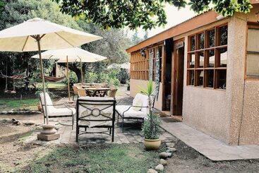 El Arbol Eco Lodge   Hostel