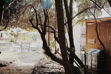 El Arbol Eco Lodge   Hostel