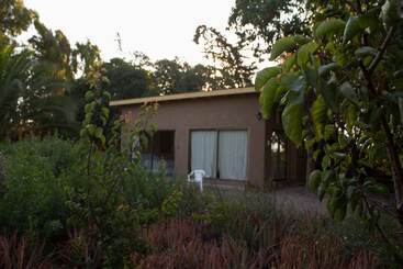El Arbol Eco Lodge   Hostel