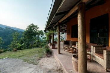 هتل Gorilla Valley Lodge