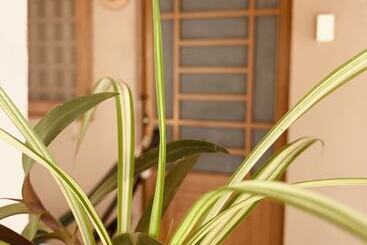 هتل Phuc Sinh Homestay