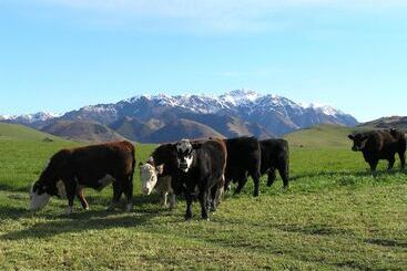 هتل روستایی Pahau Downs
