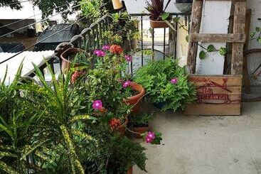 La Terraza Hostel