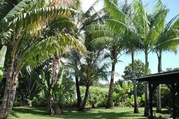 تختخواب و صبحانه Island Goode S   Luxury Adult Only Accommodation Near Hilo