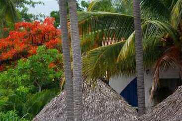 هتل Azul Surf Club
