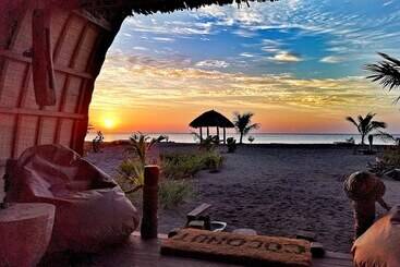هتل Coconut Garden Beach Resort