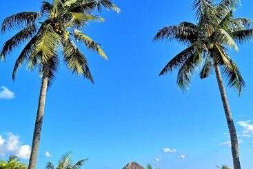 هتل Coconut Garden Beach Resort