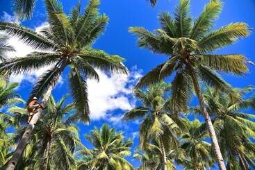 هتل Coconut Garden Beach Resort
