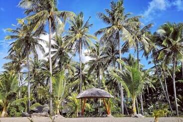 هتل Coconut Garden Beach Resort