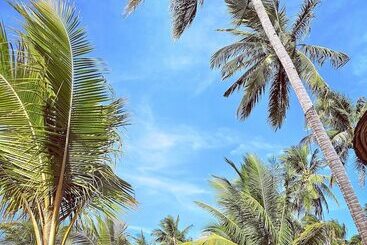 هتل Coconut Garden Beach Resort