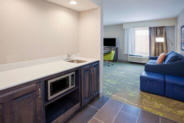 هتل Hampton Inn & Suites Sioux City South