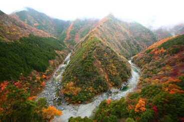 酒店 Iya Onsen