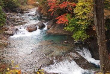 Shima Onsen Kashiwaya Ryokan