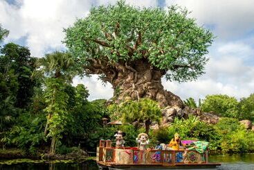 Wyndham Garden Lake Buena Vista Disney Springs® Resort Area