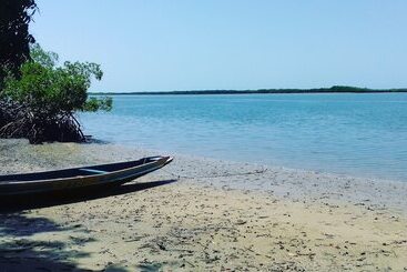 هتل Bonobo Lodge