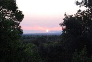 Finca Son Vivot - Inca