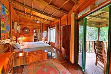 هتل The Rainforest Geo Lodge