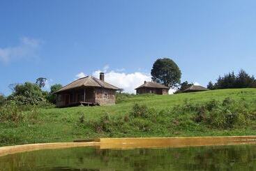 هتل Castle Forest Lodge