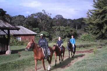 هتل Castle Forest Lodge