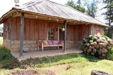هتل Castle Forest Lodge