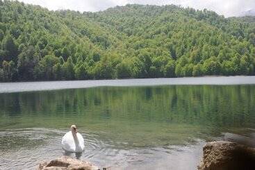 هتل Goy Gol Lake Resort
