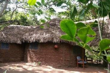 تختخواب و صبحانه Selous Adili Forest Camp