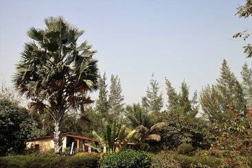 تختخواب و صبحانه Yuna Village Garden Resort