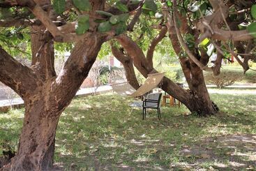 تختخواب و صبحانه Yuna Village Garden Resort