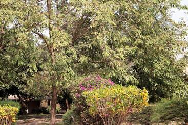 تختخواب و صبحانه Yuna Village Garden Resort