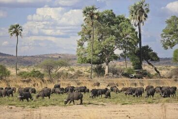 هتل Ruaha Dream Villa