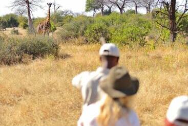 هتل Ruaha Dream Villa