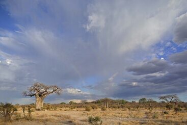 هتل Ruaha Dream Villa