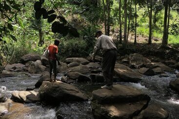 هتل Simbamwenni Lodge And Camping