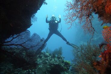 هتل Viani Bay Resort At Dive Academy Fiji