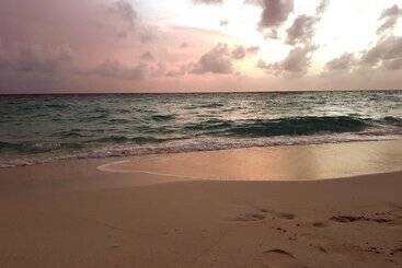 پانسیون Ocean Beach Inn   Maldives