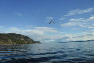 Hindrum Fjordsenter