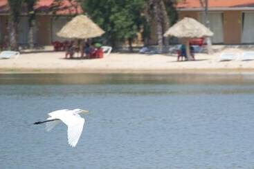 هتل Eco Resort Colpa Caranda