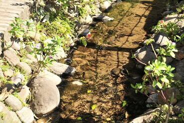 هتل Eco Resort Colpa Caranda