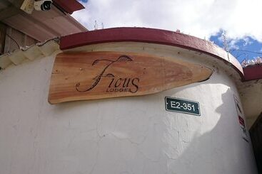 هتل Ficus Lodge