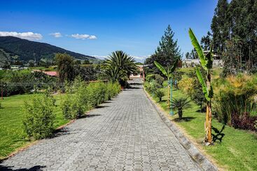 هتل Ficus Lodge