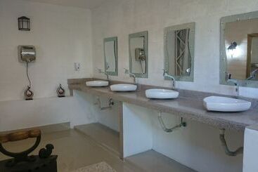 هتل Ficus Lodge