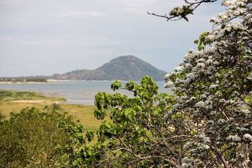 هتل Safari Beach Lodge