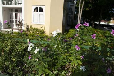 Ocho Rios Sandcastles Ocean View Fantastic Location Sleeps 4