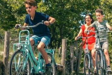 اقامتگاه Europarcs Maasduinen