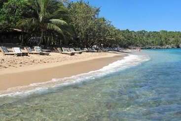 Tropical Luxury Dreams