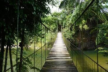 هتل Amuntai Rainforest Lodge