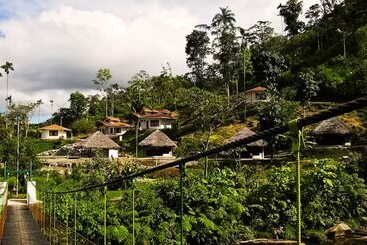 هتل Amuntai Rainforest Lodge